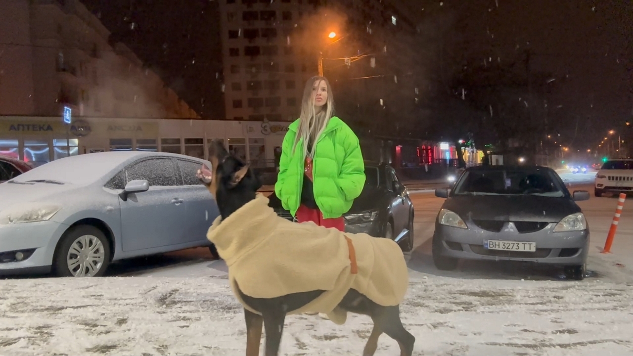 Video thumbnail for Doberman enjoys a winter night catching snowflakes in Odesa, Ukraine