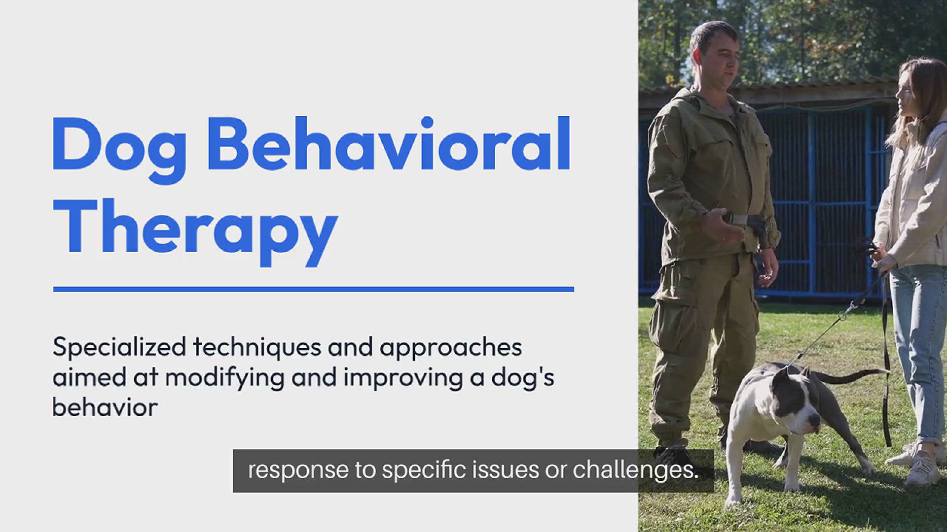 Video thumbnail for Dog Behavioral Therapy