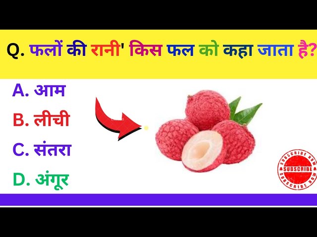 Video thumbnail for किस जीव के शरीर मे 'फेफड़े' नहीं होते हैं|GK|GK Questions| GK in Hindi||GK Quiz |Interesting GK #gk