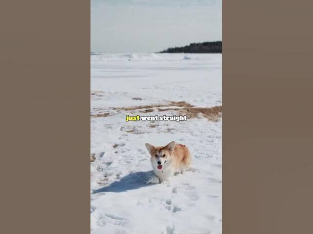 Video thumbnail for Who's the dumbest criminal you've ever seen? #aitareddit #redditstories #redditstorytime