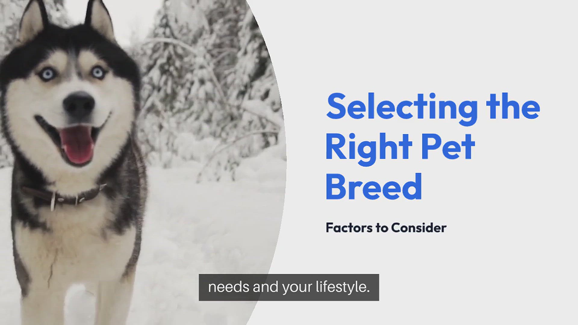 Video thumbnail for Selecting The Right Pet Breed
