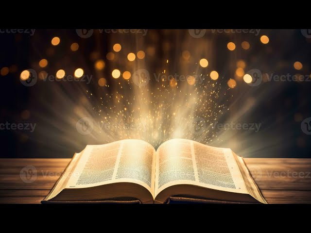 Video thumbnail for The Law of the Harvest