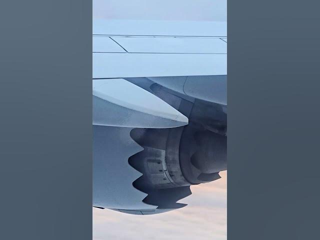 Video thumbnail for DIENTES EN LOS MOTORES 😱