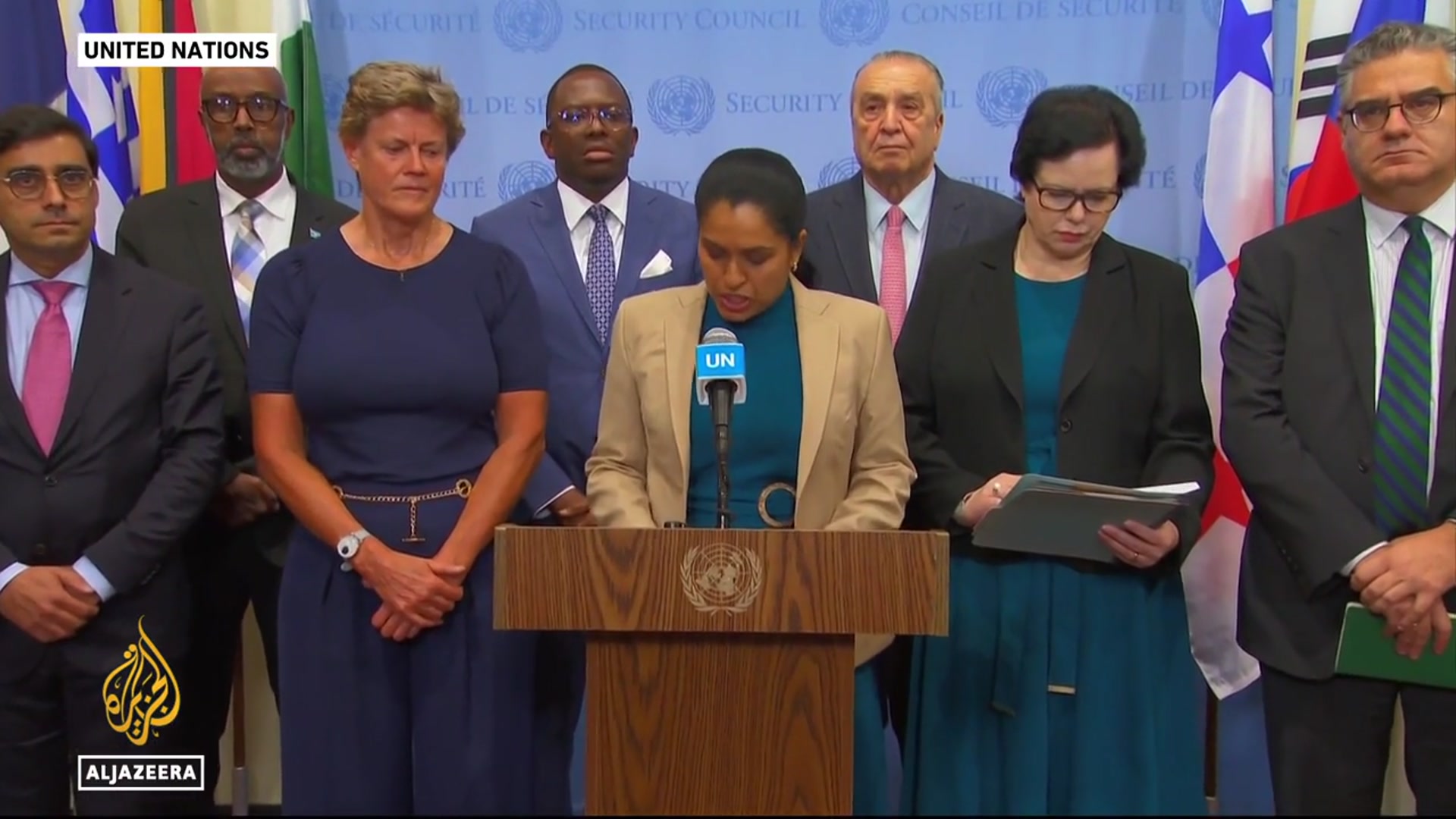 'Video thumbnail for UN Security Council presses Israel on Gaza aid, US stands apart'
