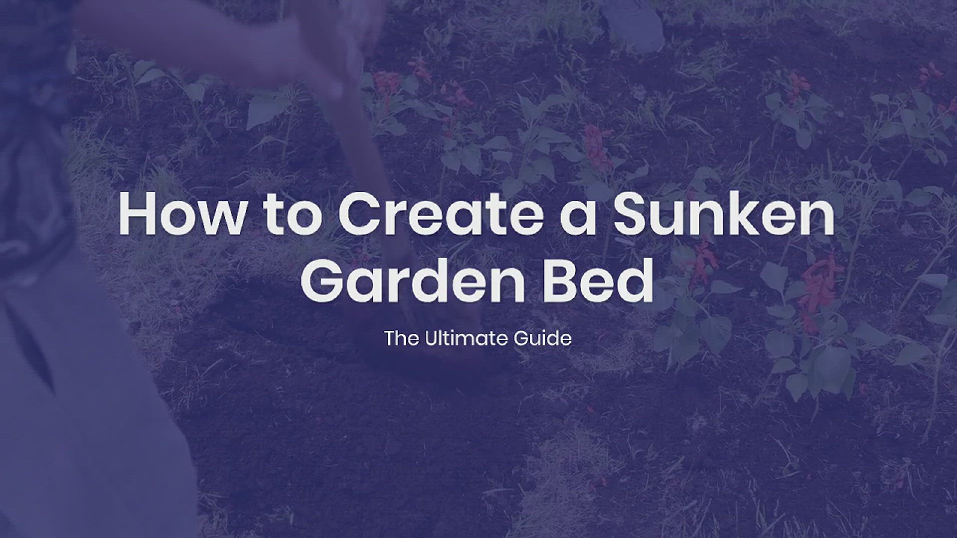 'Video thumbnail for How to Create a Sunken Garden Bed'