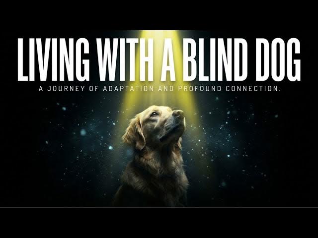 Video thumbnail for How Blind Dogs “See” with Heart and Scent
