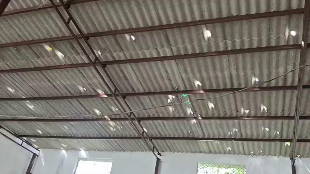 Video thumbnail for India: Golf Ball-Sized Hail Batters Haridwar, Uttarakhand, Shattering Windshields.