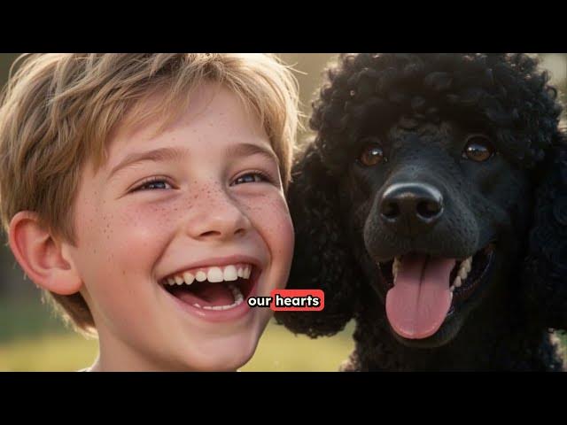 Video thumbnail for Dingo and Me -John