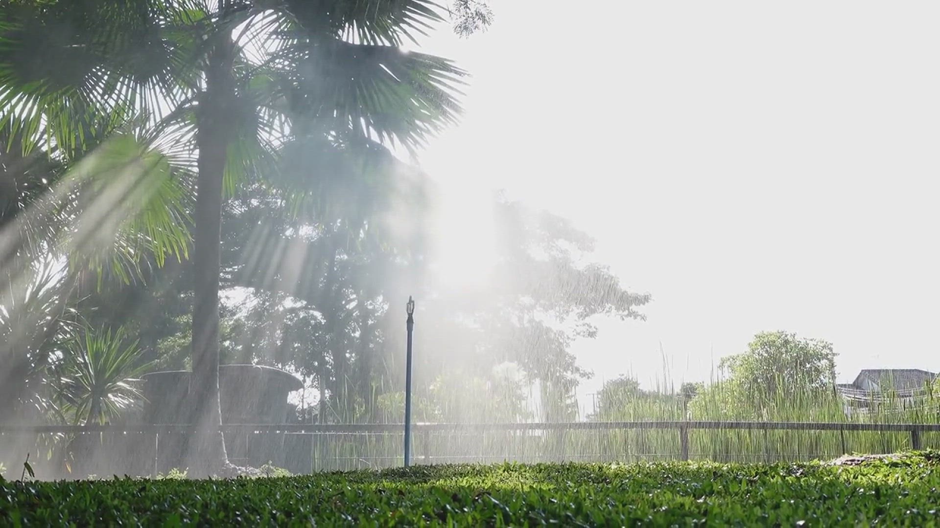 'Video thumbnail for How to Choose the Best Water Sprinkler'