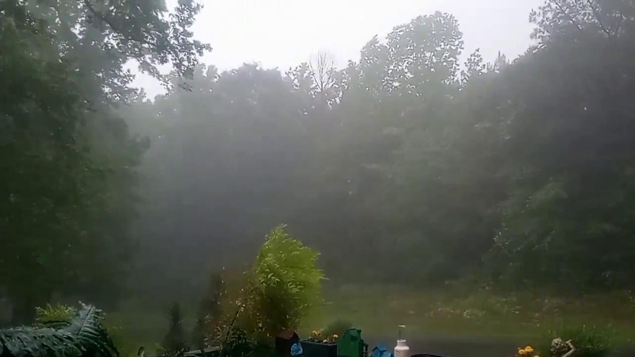 Video thumbnail for US: Severe Storms Sweep Alabama, Prompting Tornado Warnings 2.