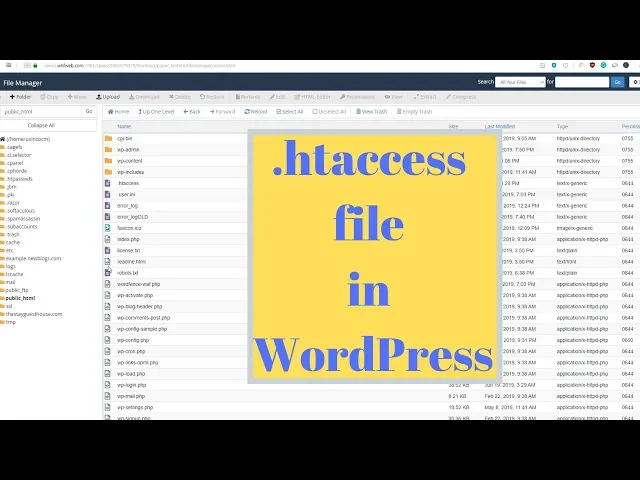Video thumbnail for htaccess flle in WordPress - How to find and edit guide