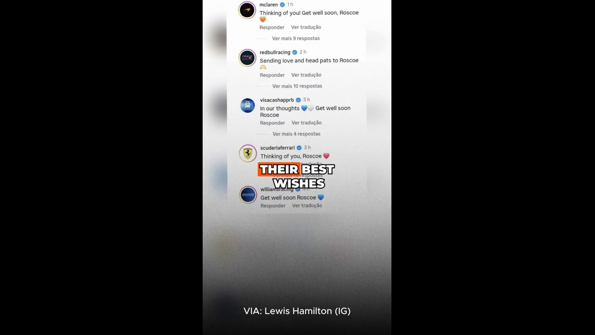 'Video thumbnail for Tributes pour in from F1 teams after Lewis Hamilton's dog Roscoe's health scare update ❤'