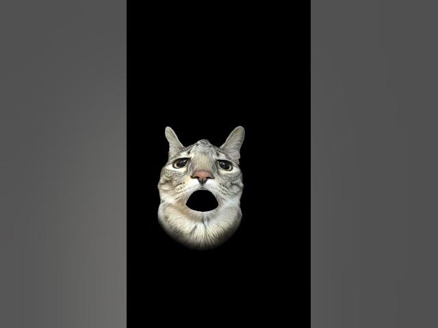 Video thumbnail for 20 June 2026