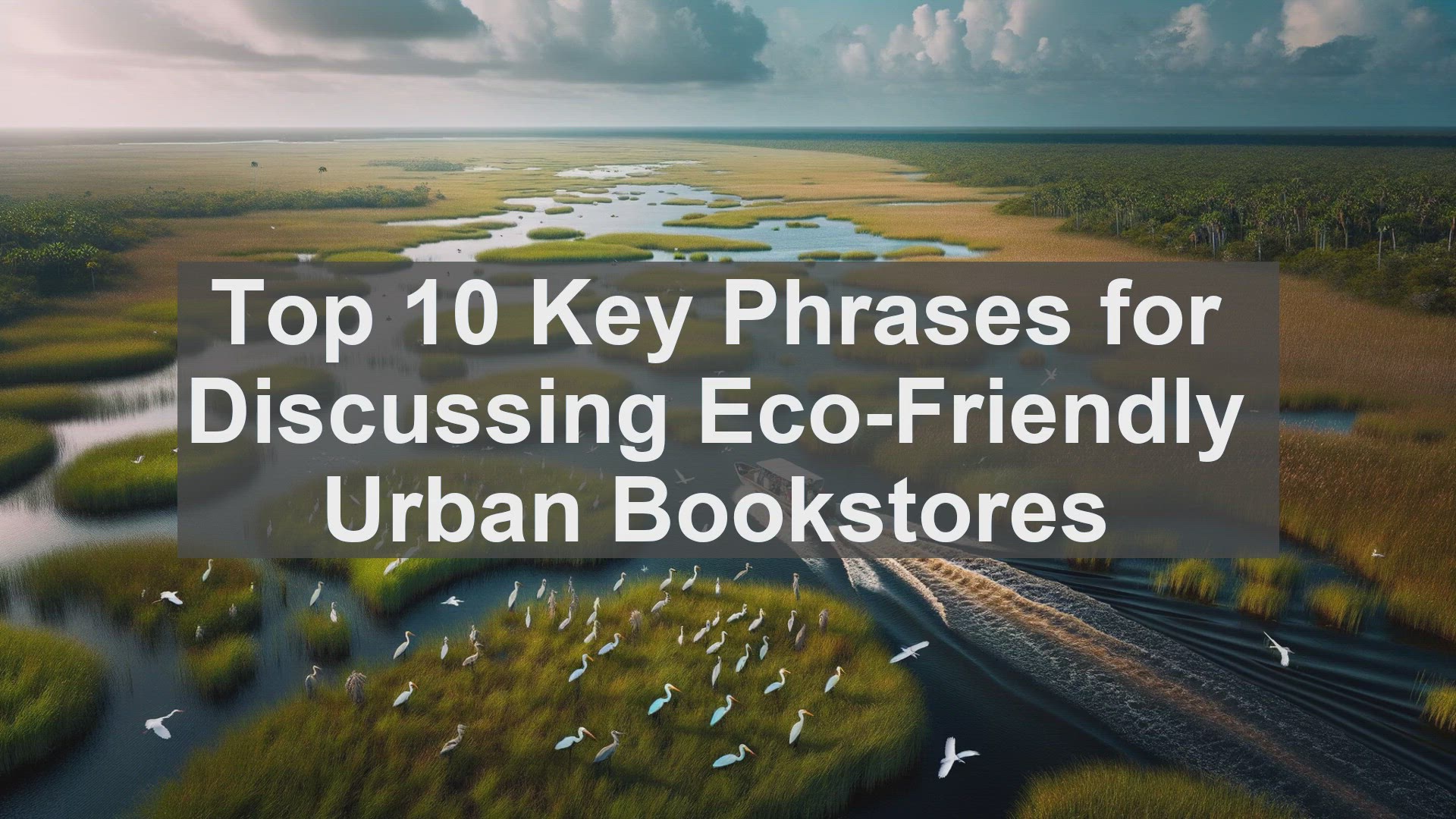 'Video thumbnail for Top 10 Key Phrases for Discussing EcoFriendly Urban Bookstores'