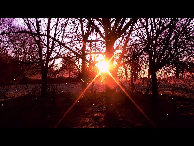Video thumbnail for Dawn at Marsh Barton