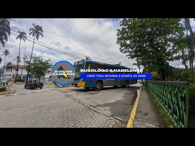 Video thumbnail for Live Teste