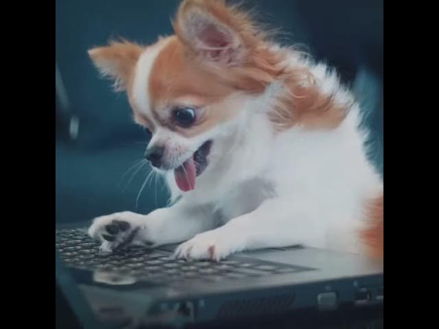 Video thumbnail for Westchester County Real Estate Agent