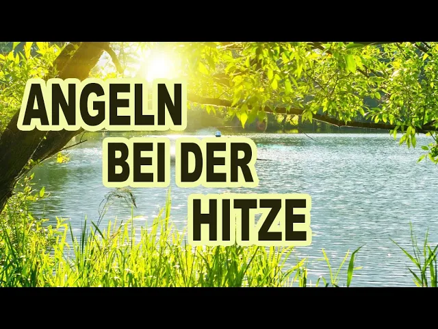 Video thumbnail for Tipps für Angelstellen und Köderpräsentation bei Hitze