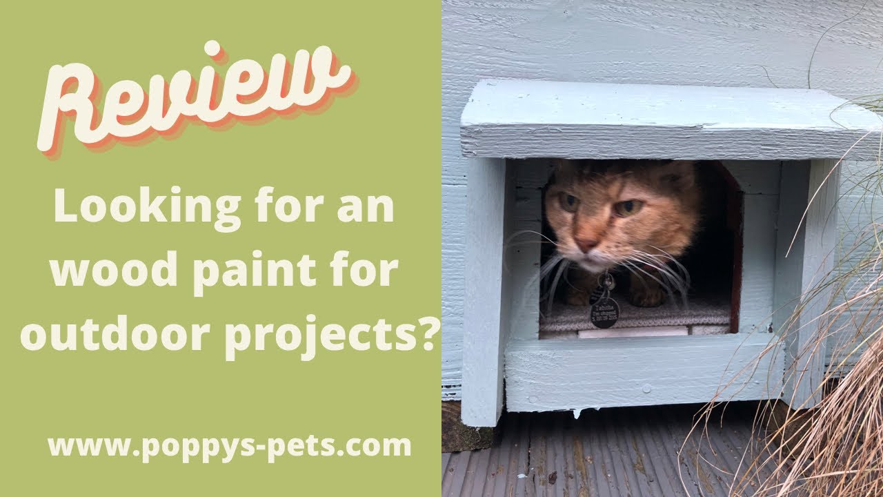 'Video thumbnail for Best Outdoor Wood Paint for Garden Upcycling, Ideas & Design'