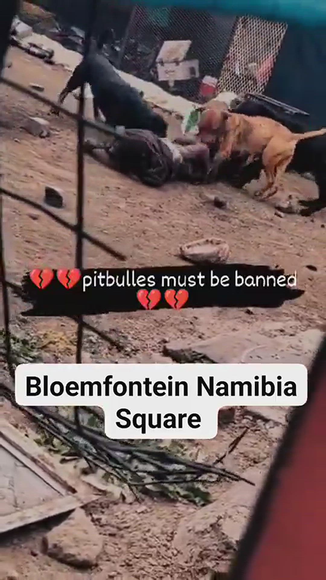 Video thumbnail for Woman Killed by Four Pitbulls in Bloemfontein