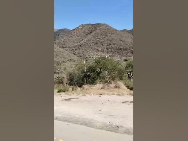 Video thumbnail for Road trip