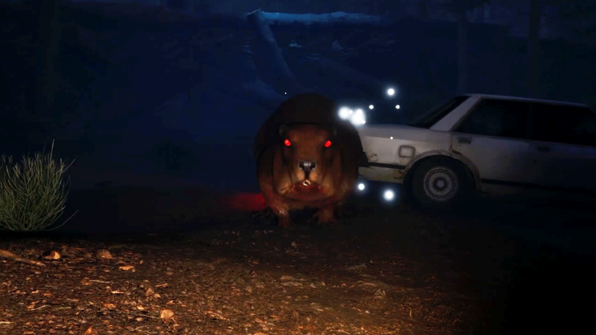 Video thumbnail for Don't Mess With Bober - Official Release Date Trailer