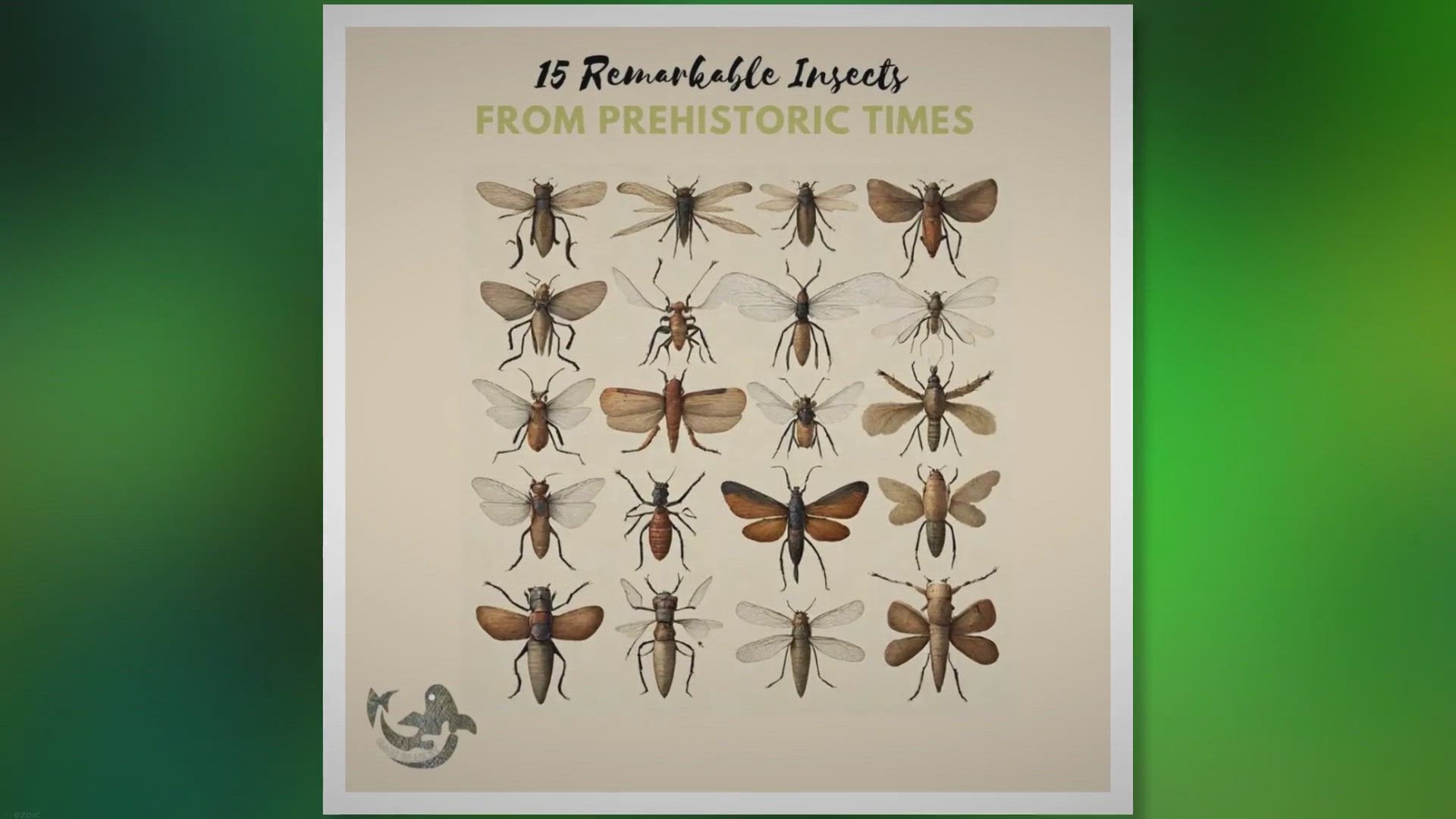Video thumbnail for 15 Remarkable Insects From Prehistoric Times