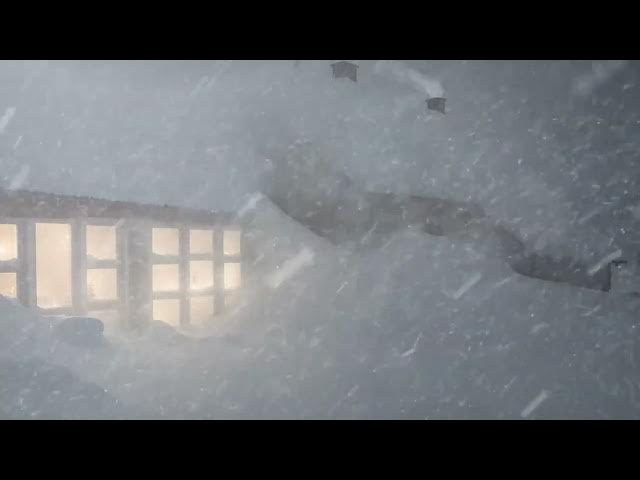 Video thumbnail for In the warm cabin on a snowstorm night, listen to the roaring sound of the wind and snow, relax a