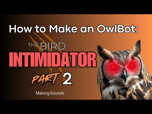 Video thumbnail for How to Make an OwlBot: The Bird Intimidator - Part 2: Making Sounds