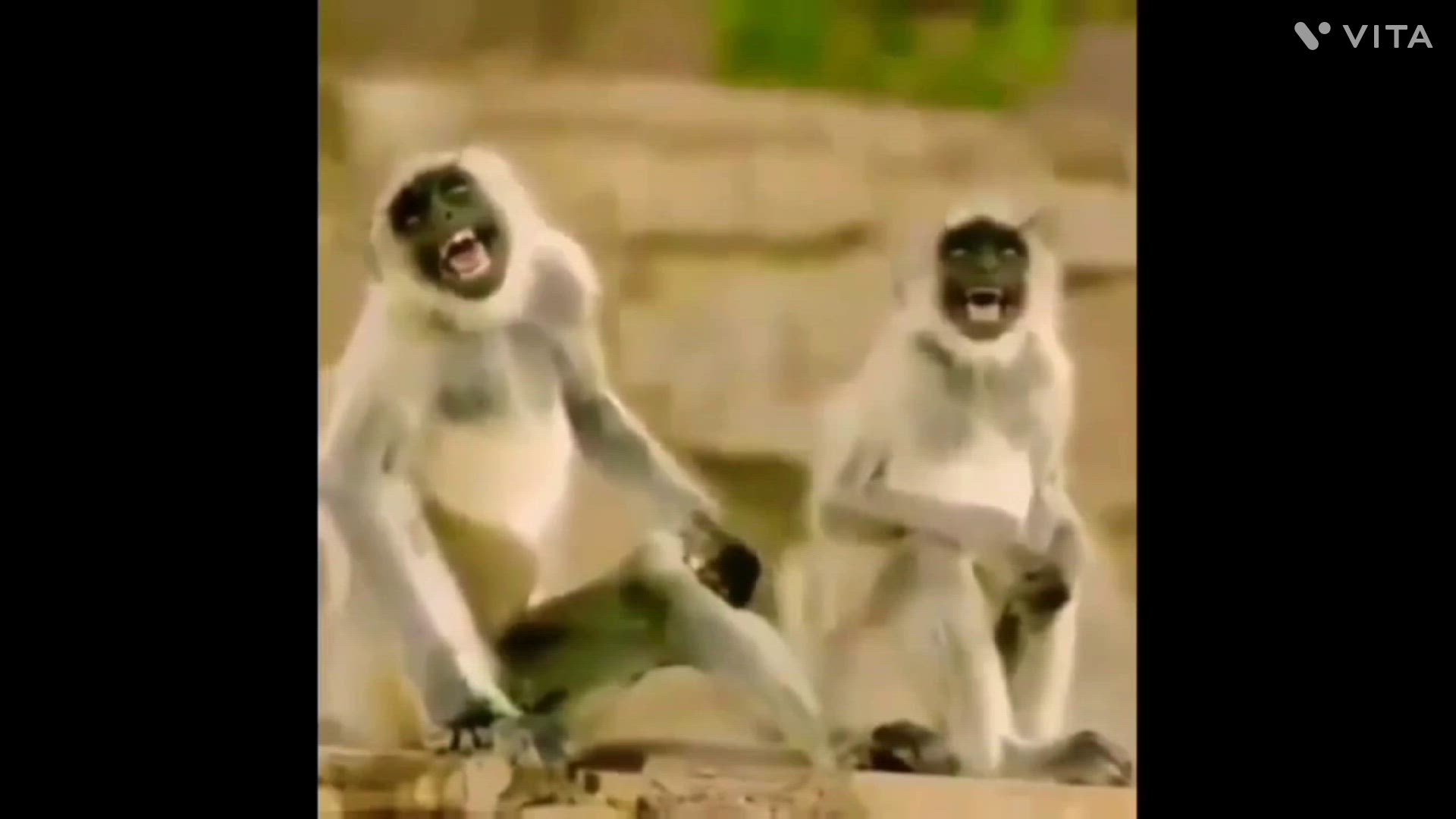 Video thumbnail for 1000050562