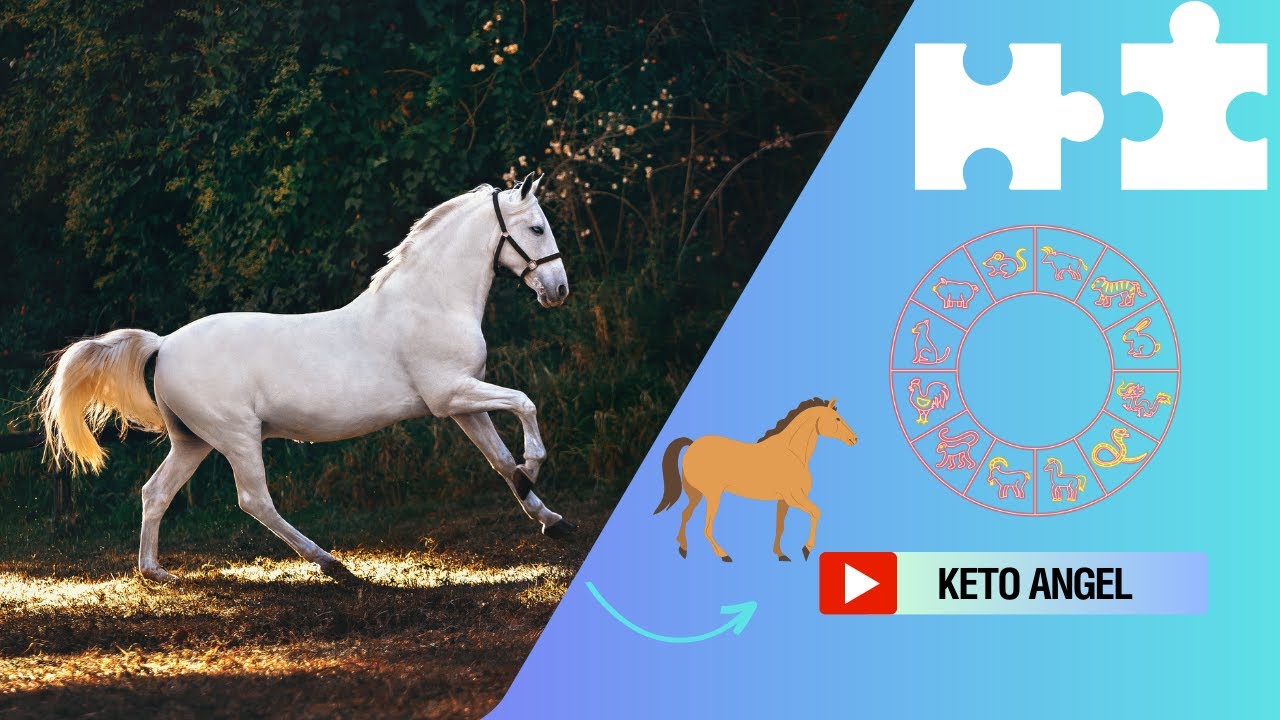 'Video thumbnail for Horse chinese zodiac compatibility, video blog'