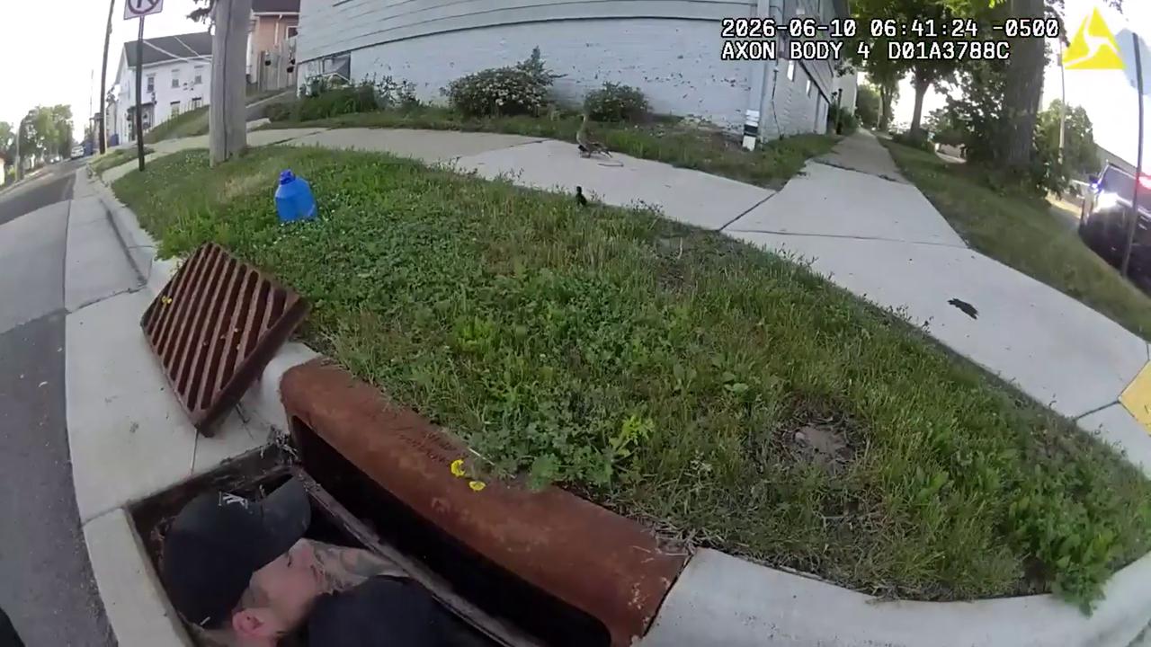 Video thumbnail for US: Police Rescue Ducklings Trapped In Storm Drain In Heartwarming City Operation.