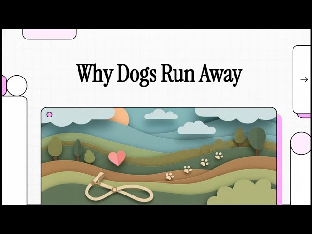 Video thumbnail for Discover Why Do Dogs Run Away