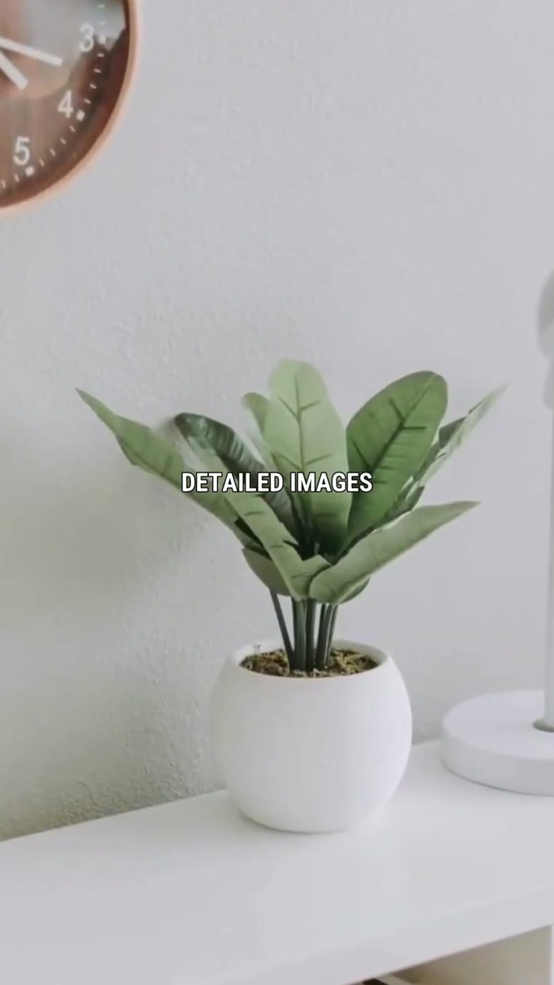 Video thumbnail for Spotting Airbnb Red Flags