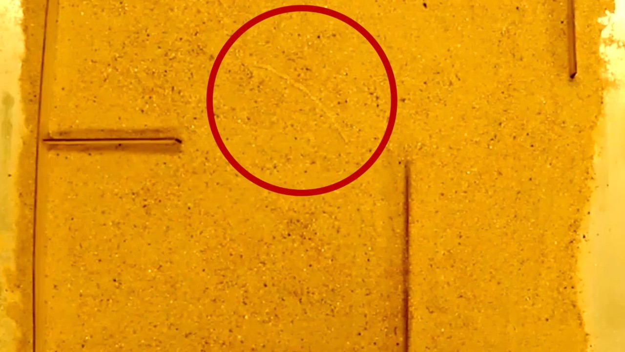 Video thumbnail for Robot navigates a maze with physical intelligence, not AI