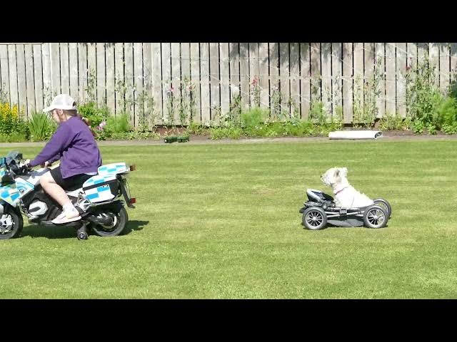 Video thumbnail for TAXI by kt