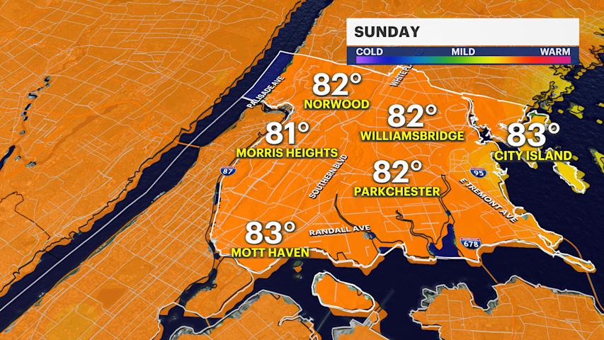 Video thumbnail for Morning fog followed by scattered soaking storms early Sunday for the Bronx