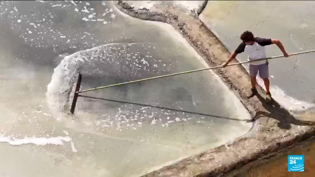 Video thumbnail for France’s heatwaves bring bumper salt harvest in Guérande