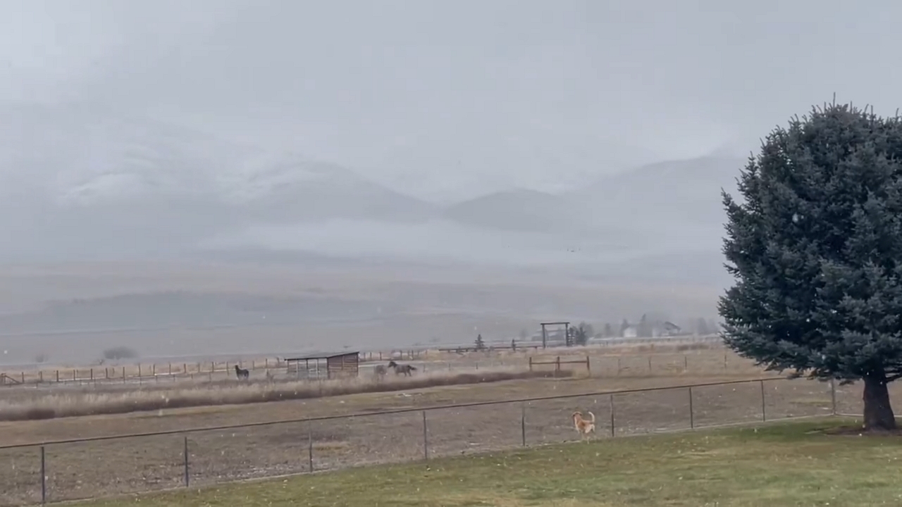 Video thumbnail for Light snowfall transforms Eden, Utah into a serene winter landscape