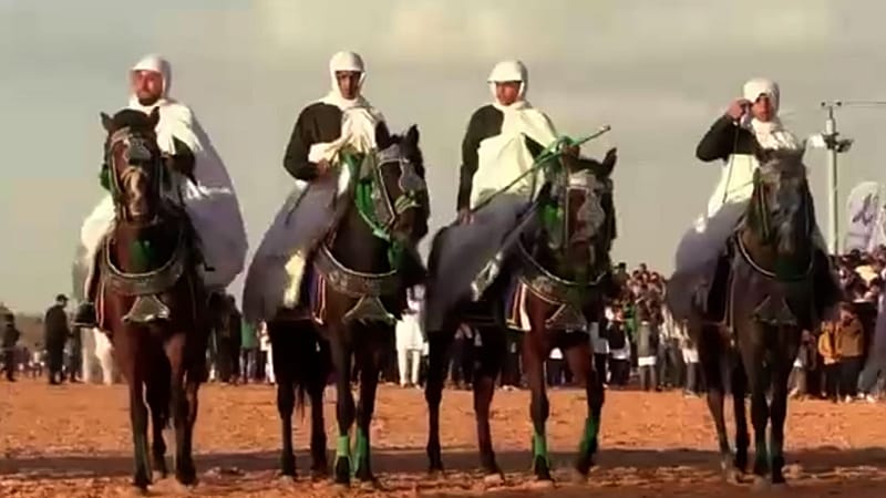 Video thumbnail for An equestrian festival in a western Libyan city goes international