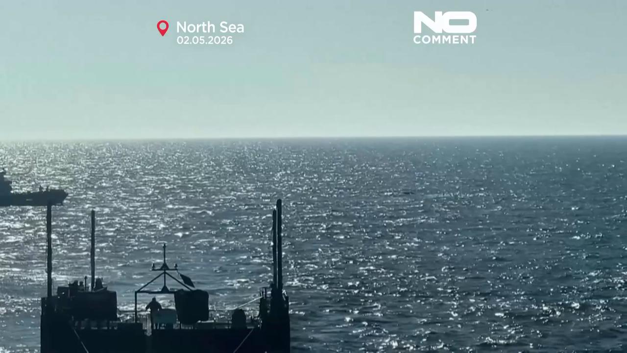 Video thumbnail for Humpback whale stranded in Germany released into North Sea