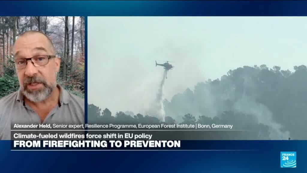 Video thumbnail for Wildfire prevention requires 'nature-based solutions': Land 'treating us' the way we treat the land