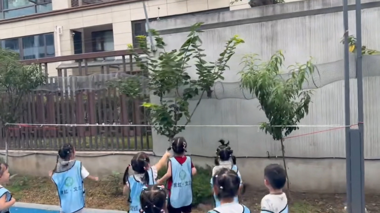 Video thumbnail for Students Watch a Squirrel Run Through a Mesh Tunnel in Jiangsu