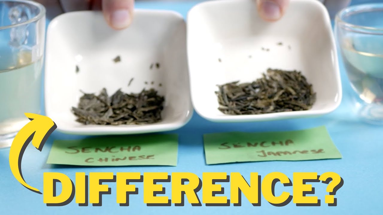 Video thumbnail for Tested: Japanese VS Chinese Sencha Green Tea