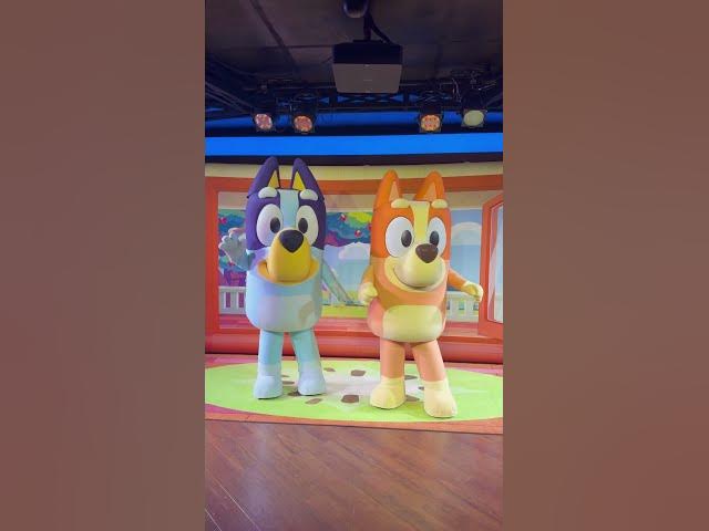 Video thumbnail for Bluey and Bingo!