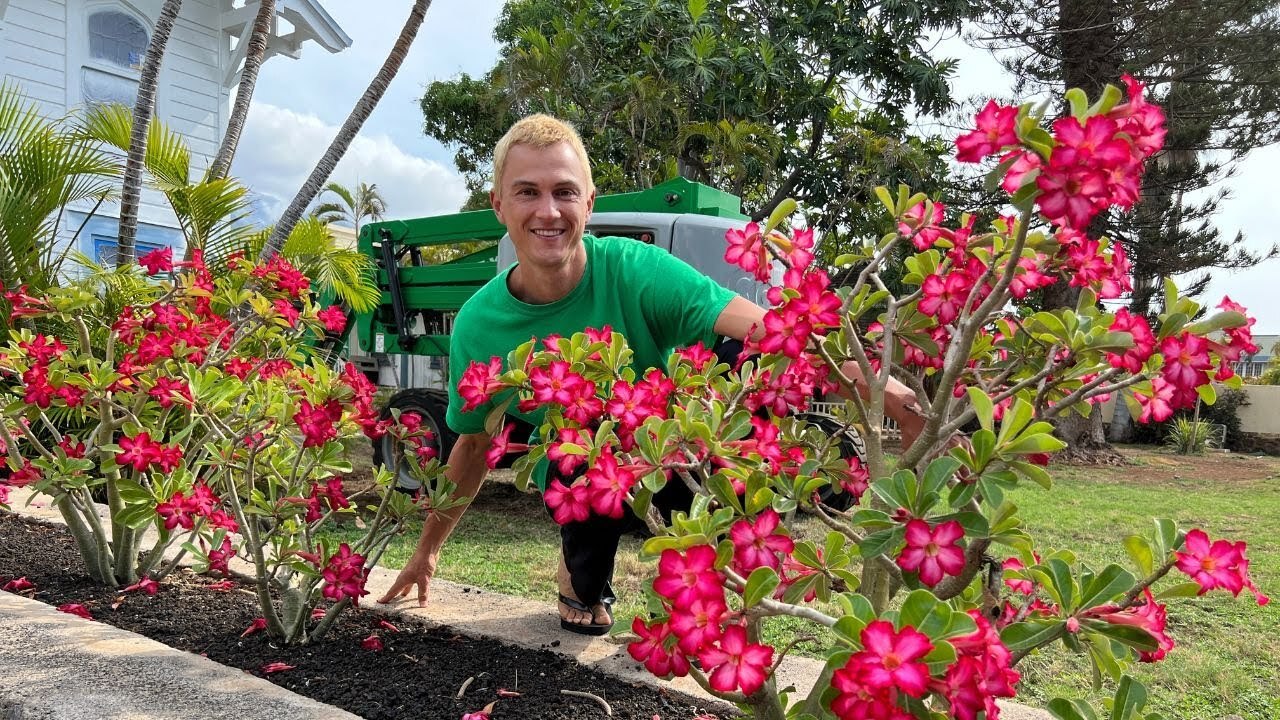 Video thumbnail for Tour of Plants & Mother Nature - Maui, Hawaii - Tropical, Rare Plant Life VLOG
