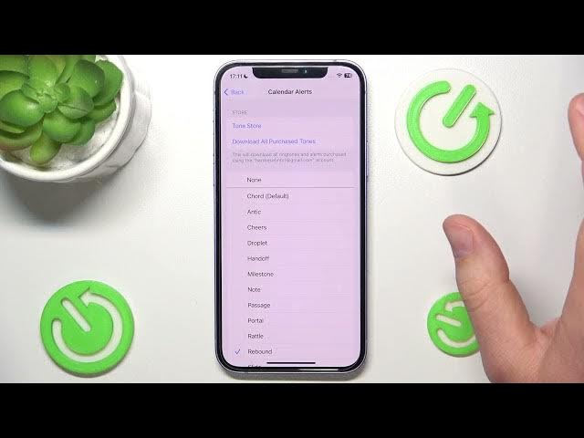 Video thumbnail for How to Change Calendar Alerts Sound on iPhone?
