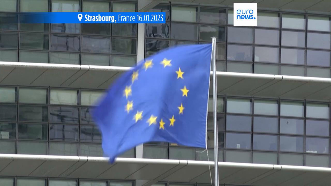 Video thumbnail for European Parliament to start procedure to ban Alternative for Germany’s EU party