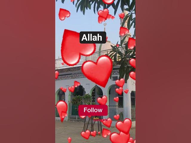 Video thumbnail for allah mere allah