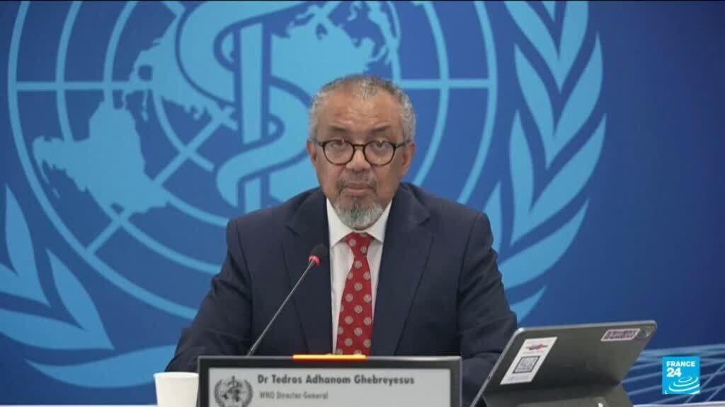 Video thumbnail for More hantavirus cases possible after cruise ship outbreak, says World Health Organisation